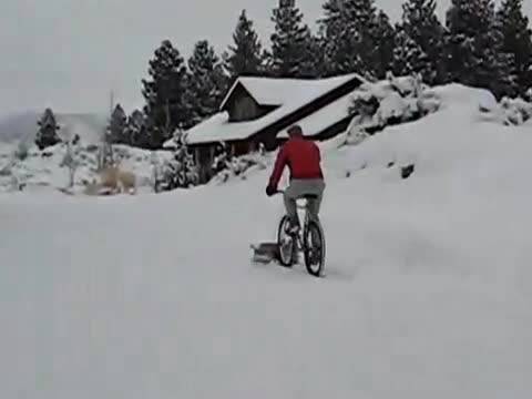 До къде може да доведе олигофренията :д 