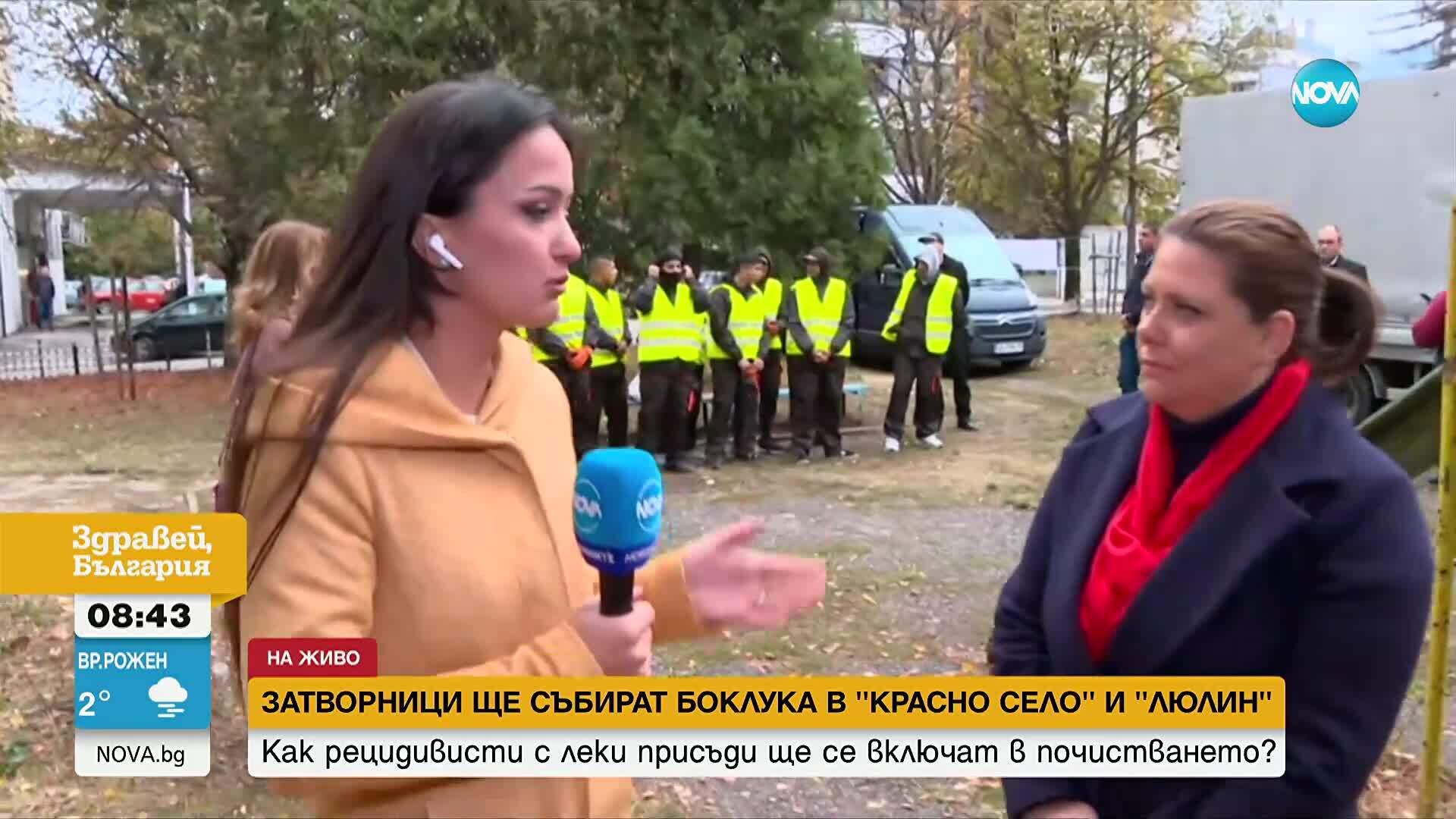 Доброволци и затворници чистят София