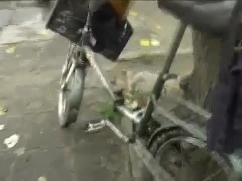 >Пияни цигани - Смях
