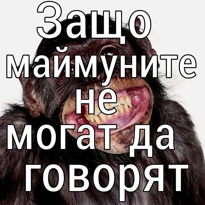 Защо маймуните не могат да говорят
