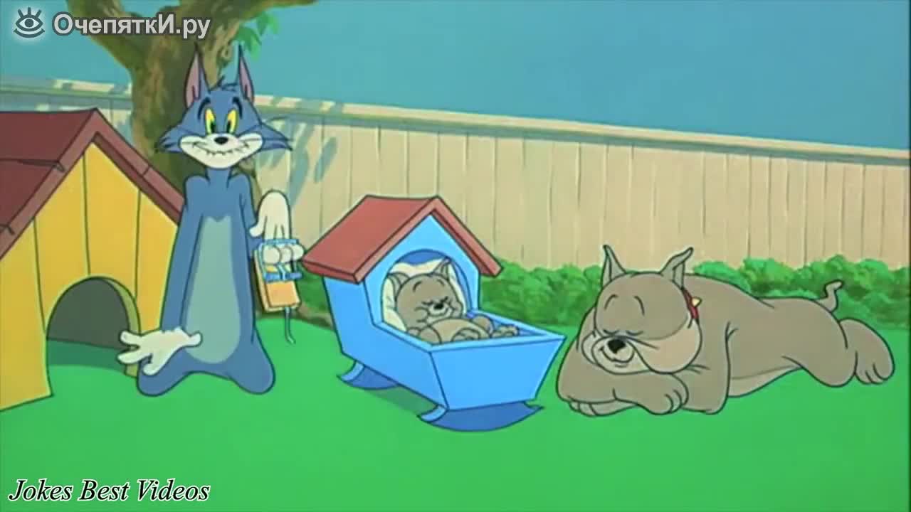 Смешно озвучени куриози