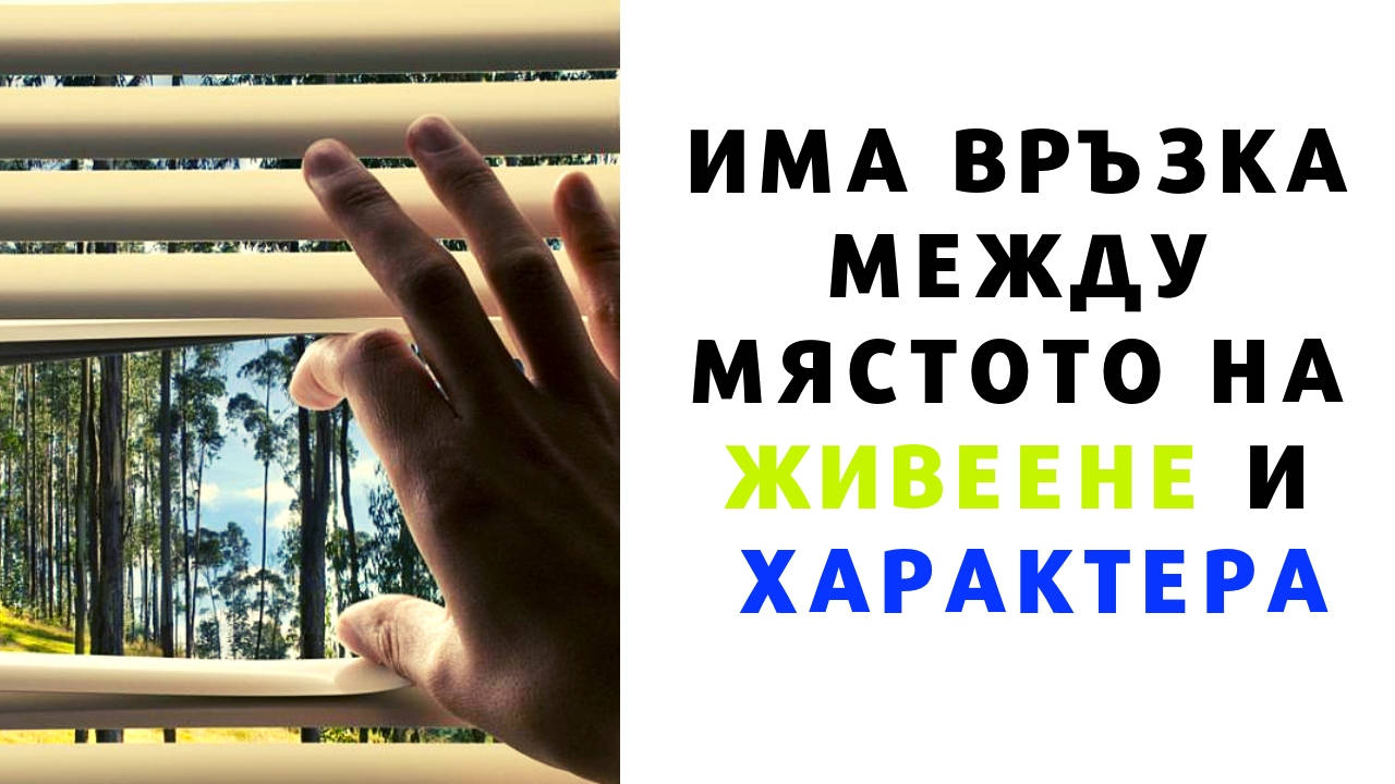 Има връзка между мястото на живеене и характера