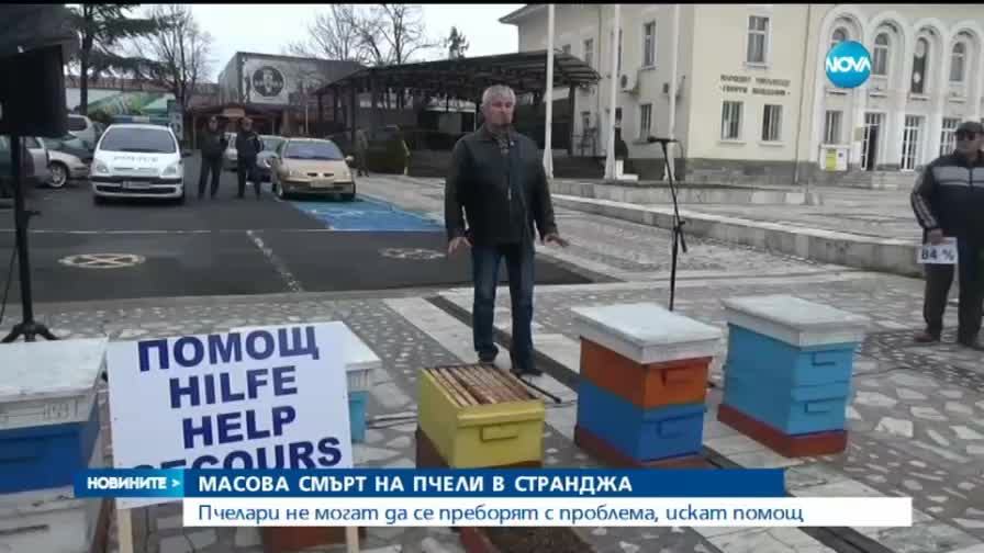 Масова смърт на пчели в Странджа