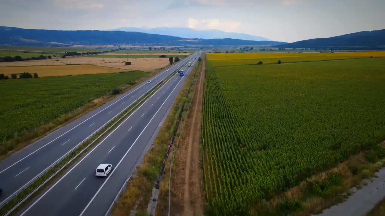 Фенове на Левски надъхаха отбора преди реванша с ПАОК