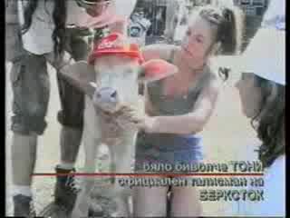 Berkstock - 1998 - Бялото Биволче Тони
