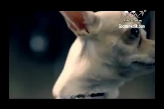 New!! Виктория - Попитай направо (официално видео)