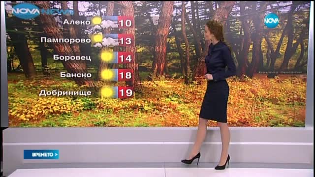 Прогноза за времето (11.11.2015 - обедна)