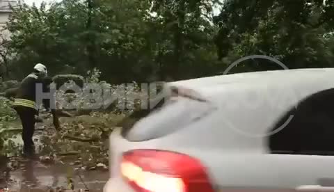 Дърво падна върху движеща се кола в София