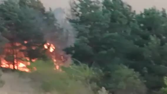 Голям пожар край Невестино, Кюстендилско