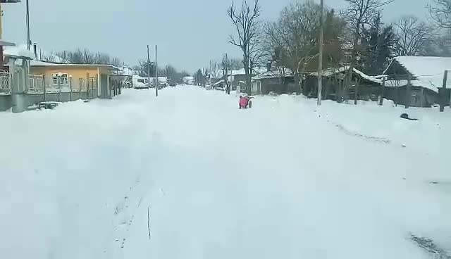 Снегът не е бедствие, а забавление