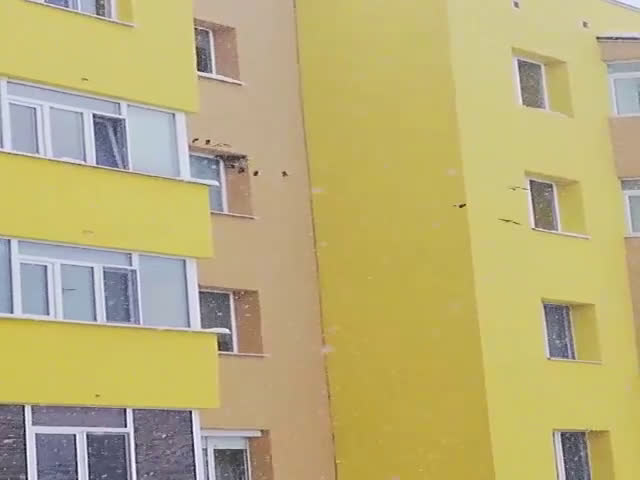 Странно, но факт