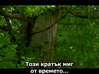 Rednex - Hold Me For A While Превод