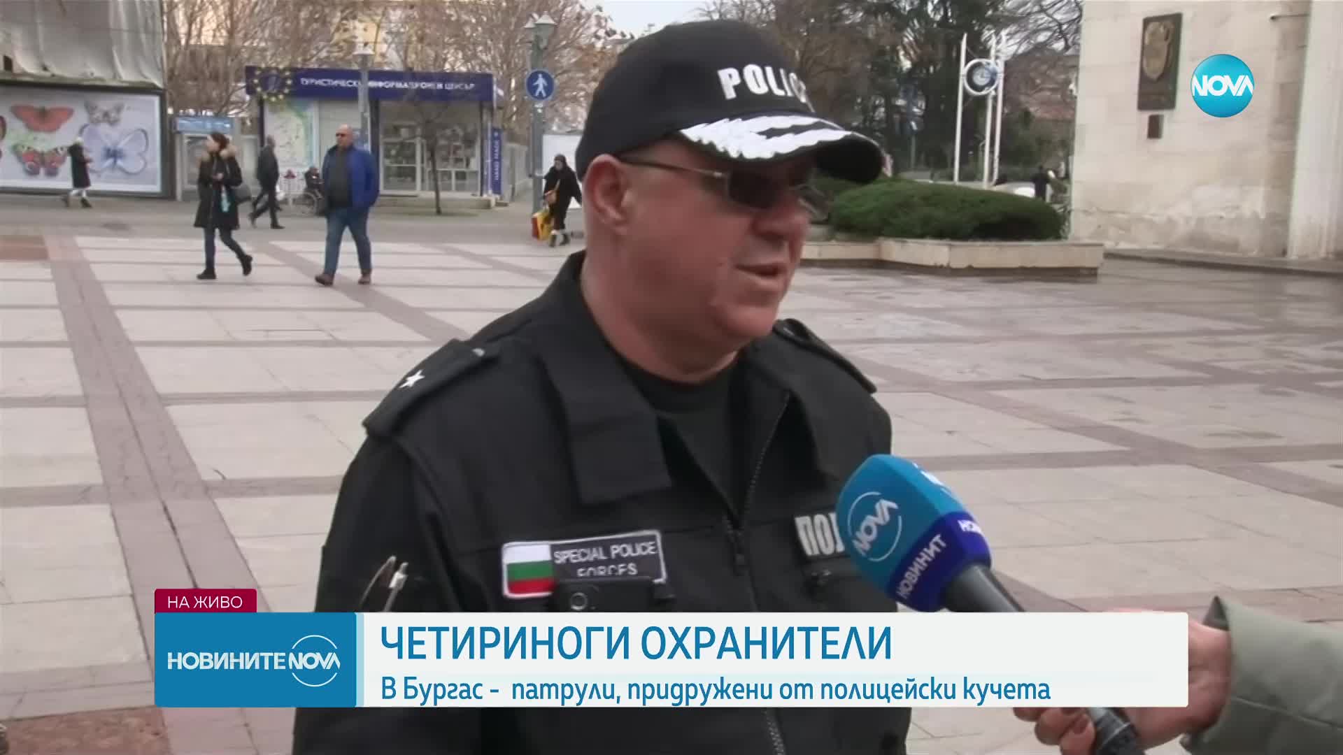 Четириноги охранители: Кучета ще патрулират с полицаи в Бургас