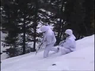 Сръбския Полк. Легия