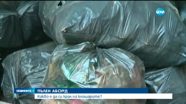 Новините на Нова (24.07.2015 - обедна)