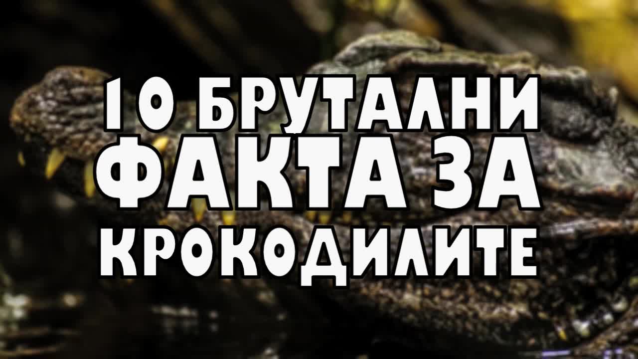 10 брутални факта за крокодилите