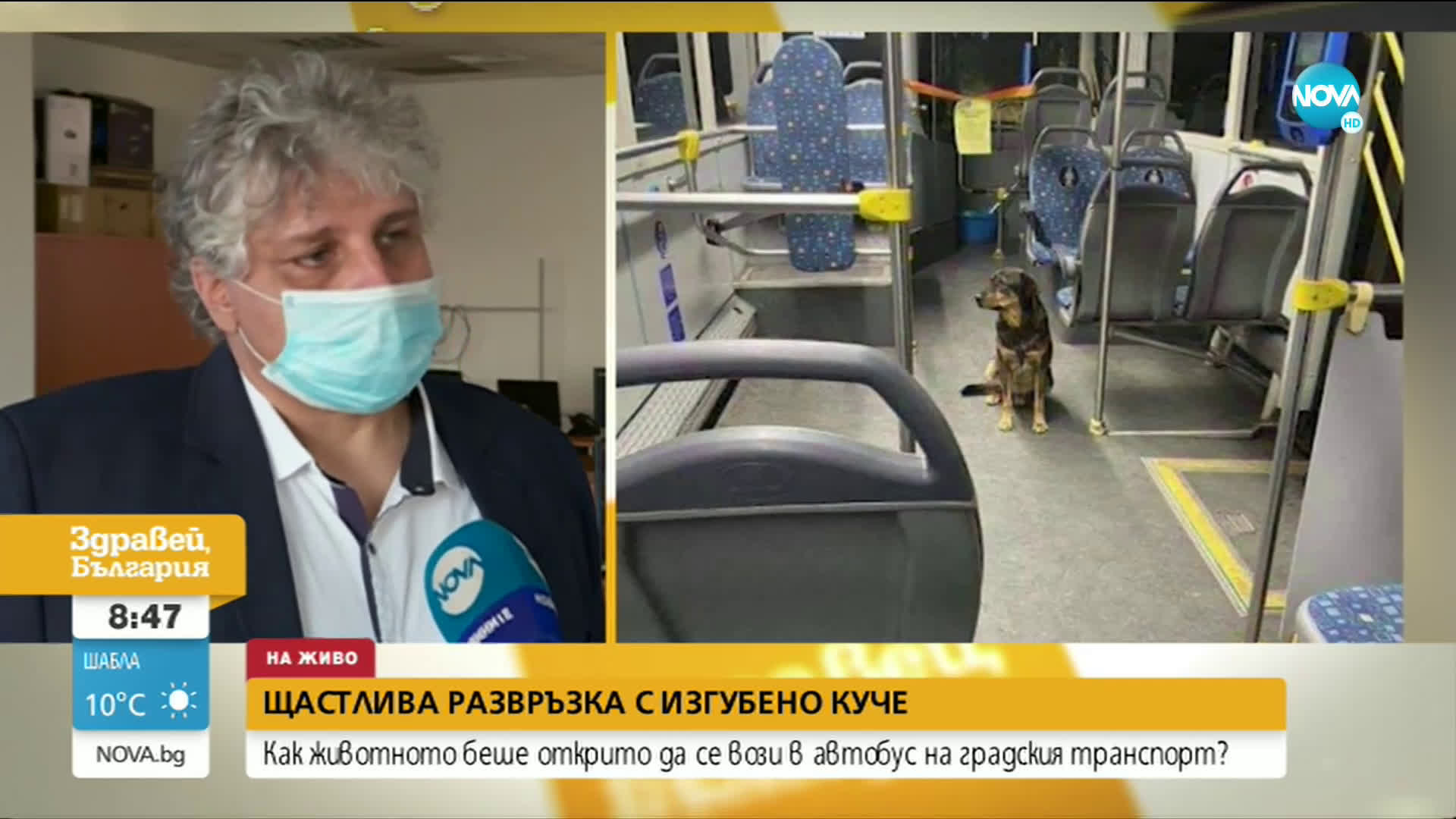 ЩАСТЛИВА РАЗВРЪЗКА: Изгубено куче беше открито да се вози в автобус на градския транспорт