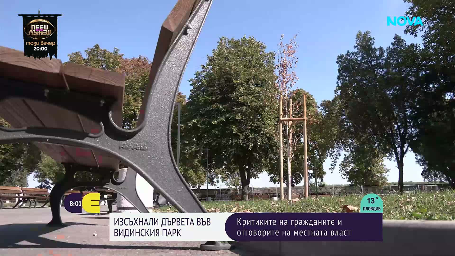 Само месеци след засаждането: Част от новите дръвчета в крайдунавския парк във Видин не оцеляха