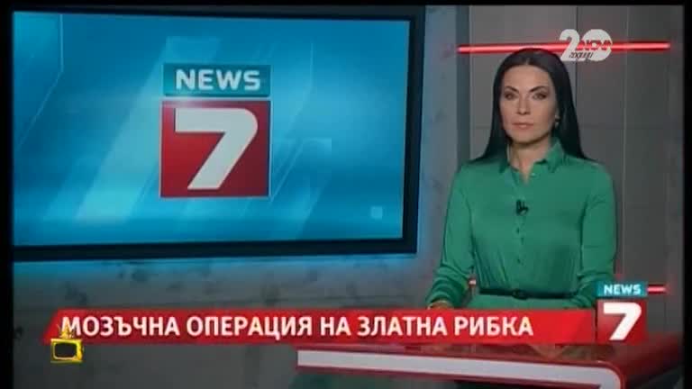 Златна рибка претърпя операция - Господари на ефира (22.09.2014)