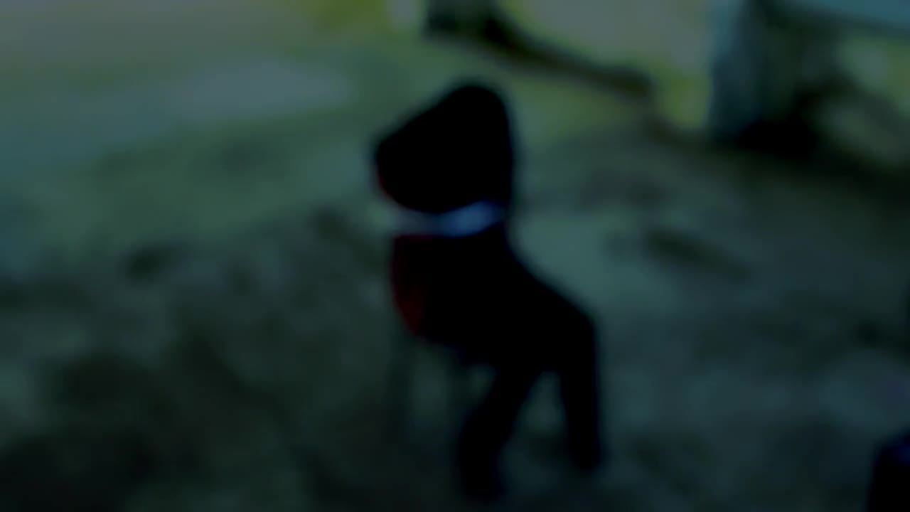>Боби Кинта - Колко Пъти / Zanimation 2014 (teaser)