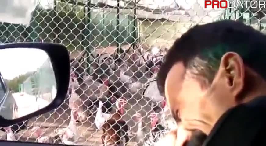 Луд Арабин Говори с Пуйки