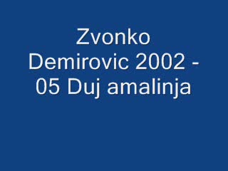Zvonko Demirovic 2002 - 05 Duj amalinja  - Vbox7
