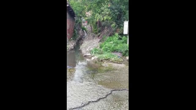 Фекалии по улицата