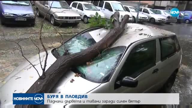 Силна буря в центъра на Пловдив изкорени дървета