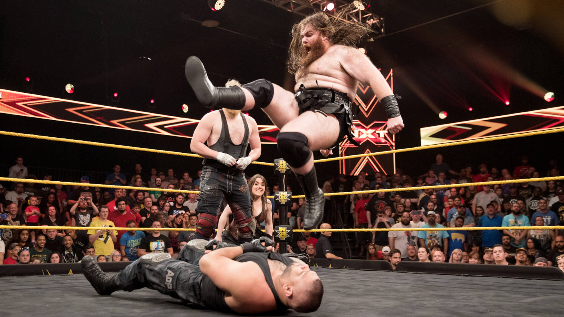 Санити налази Автори на Болката: WWE NXT, 9 Август, 2017