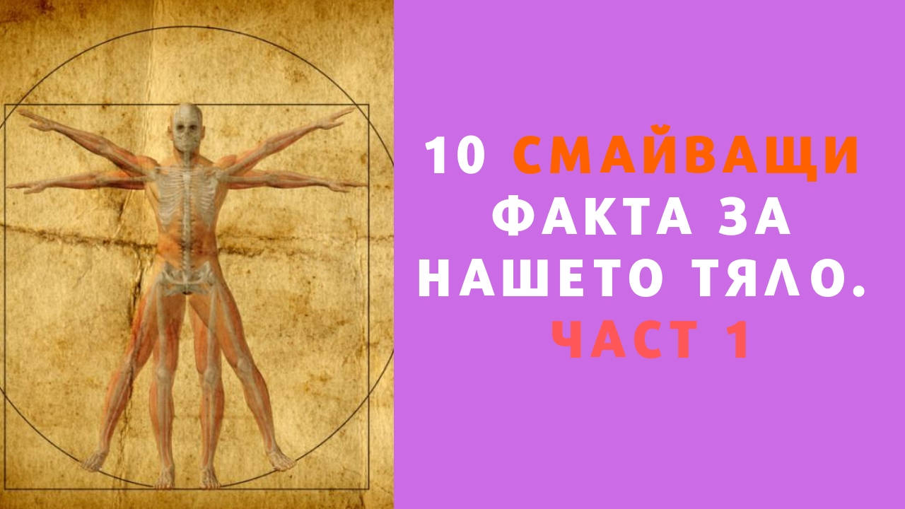 10 смайващи факта за нашето тяло