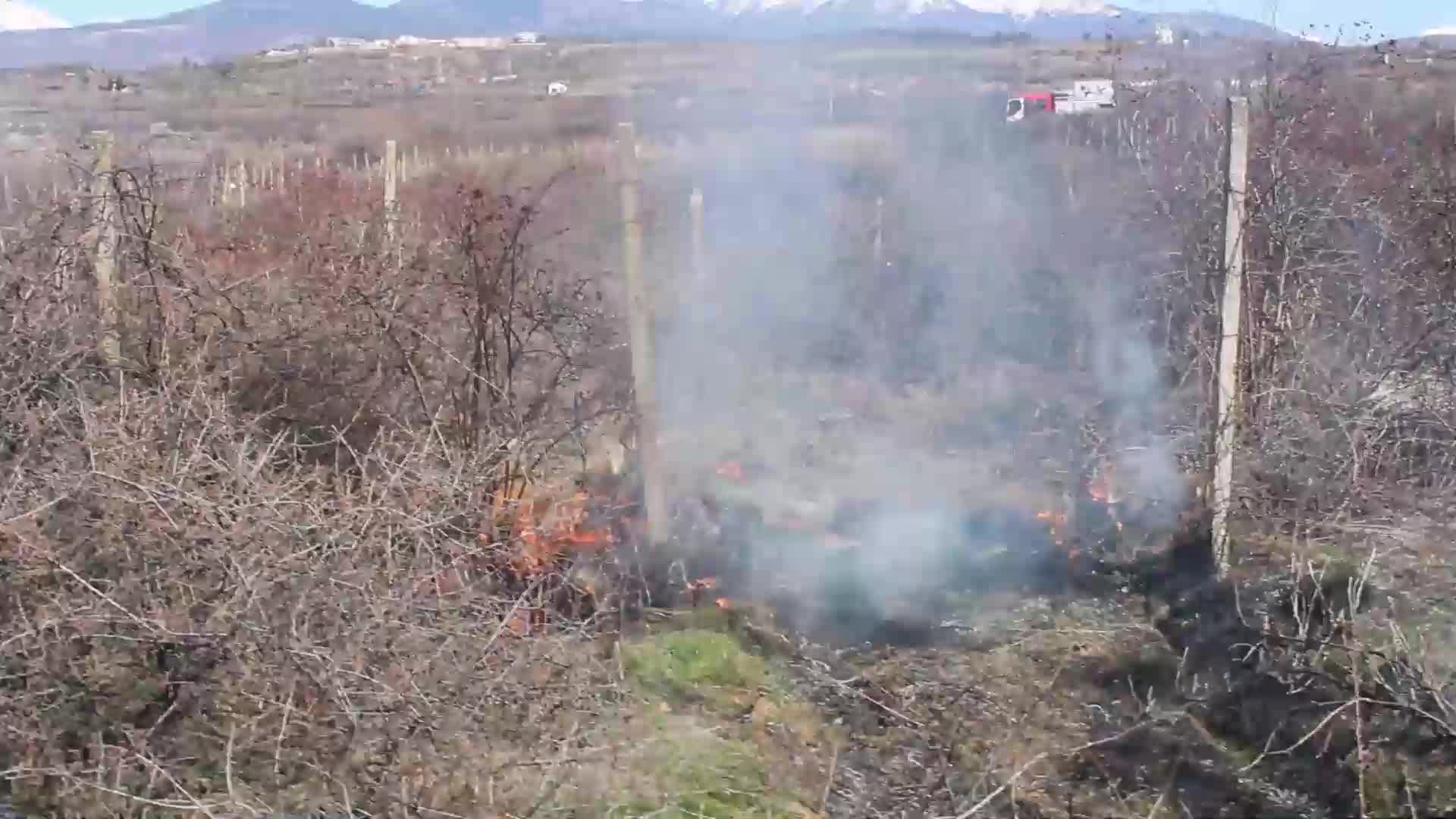 Лозя горяха над Благоевград