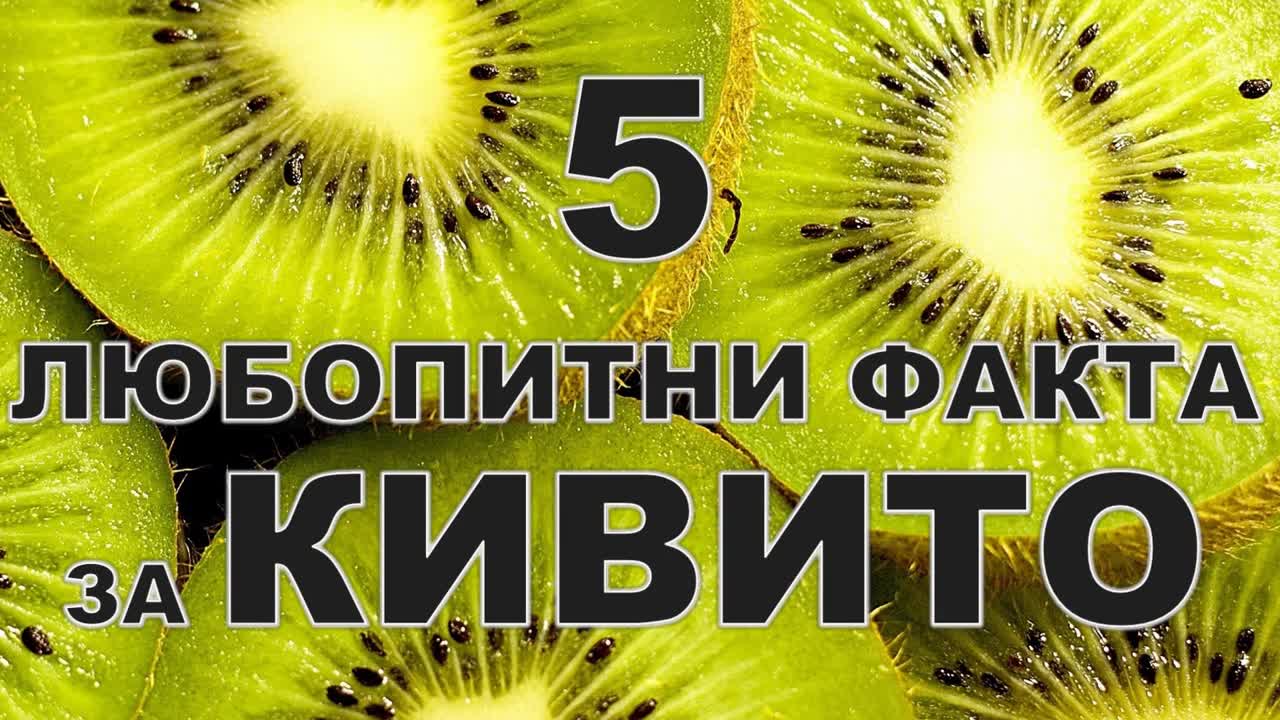 5 любопитни факта за кивито