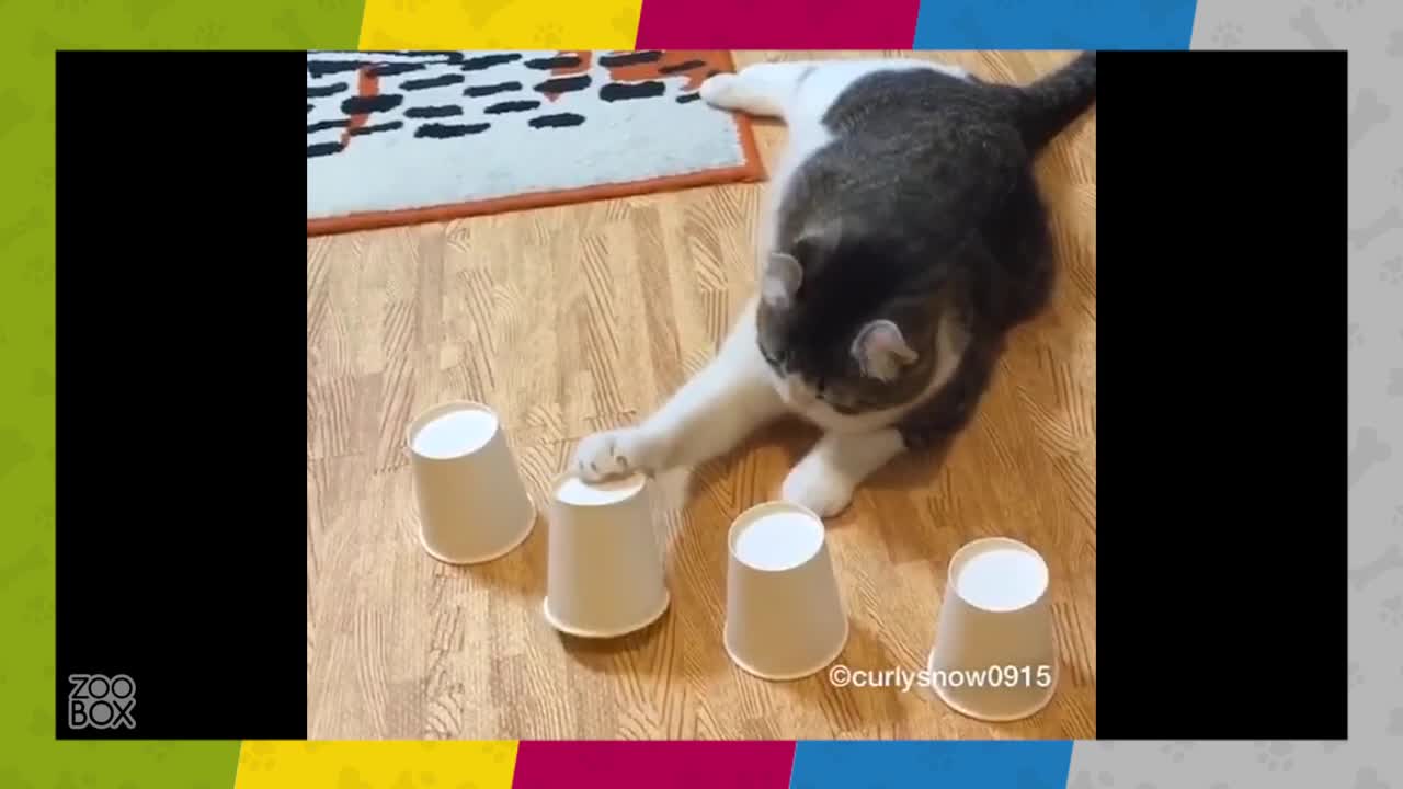 Смешни, по-смешни, най-смешни