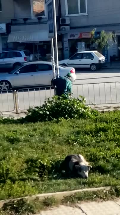 Виница бийт бокс смях