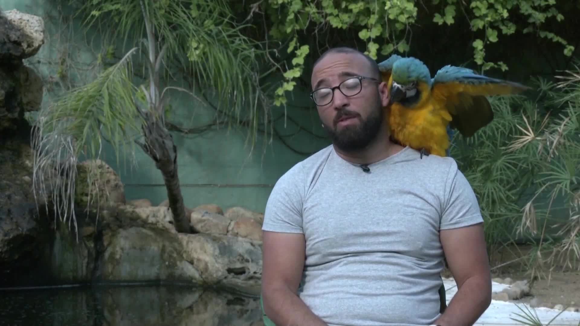 „Фермата на чудесата“: стрнният проект на тунизийски любител на природата (ВИДЕО)