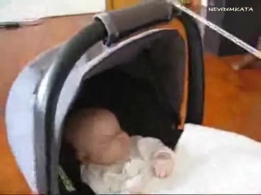 Така Живее Детето На Админа...