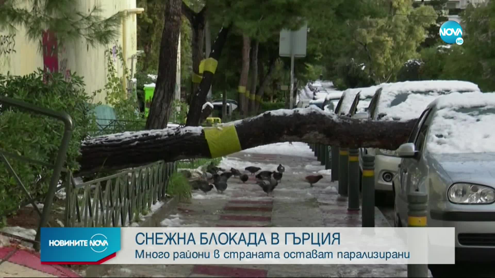 Гърция все още се възстановява от снежната буря