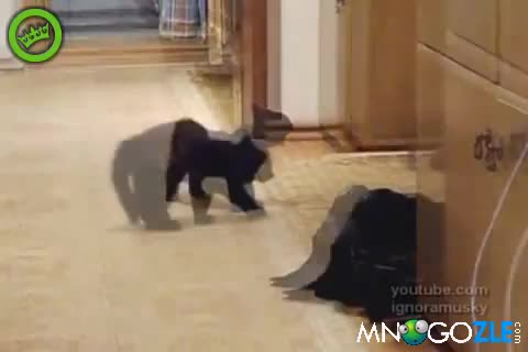 Размерът Не Винаги Има Значение !