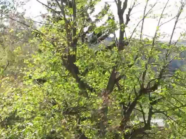 Бурен вятър в Разград