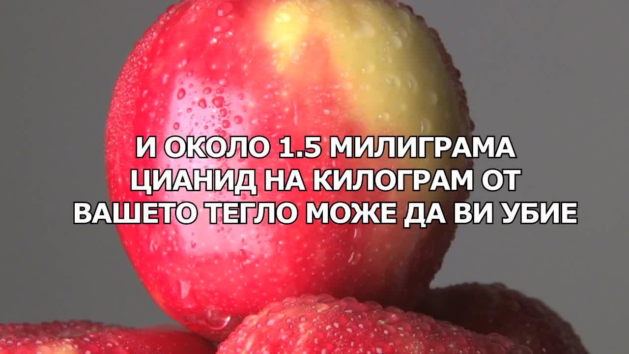 10 Неща От Всекидневието Които Могат Да Ви Убият