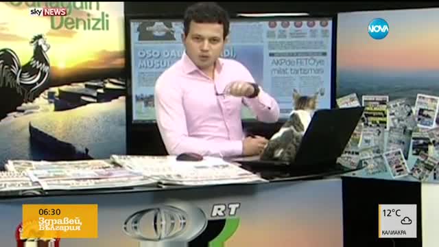 Котка в студиото на турска телевизия