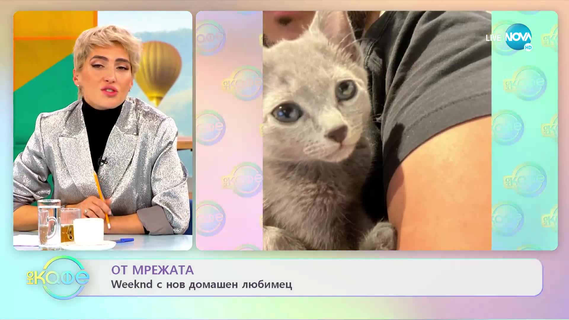 Живот в матрицата - Проучване проверява дали светът живее в симулация - „На кафе”