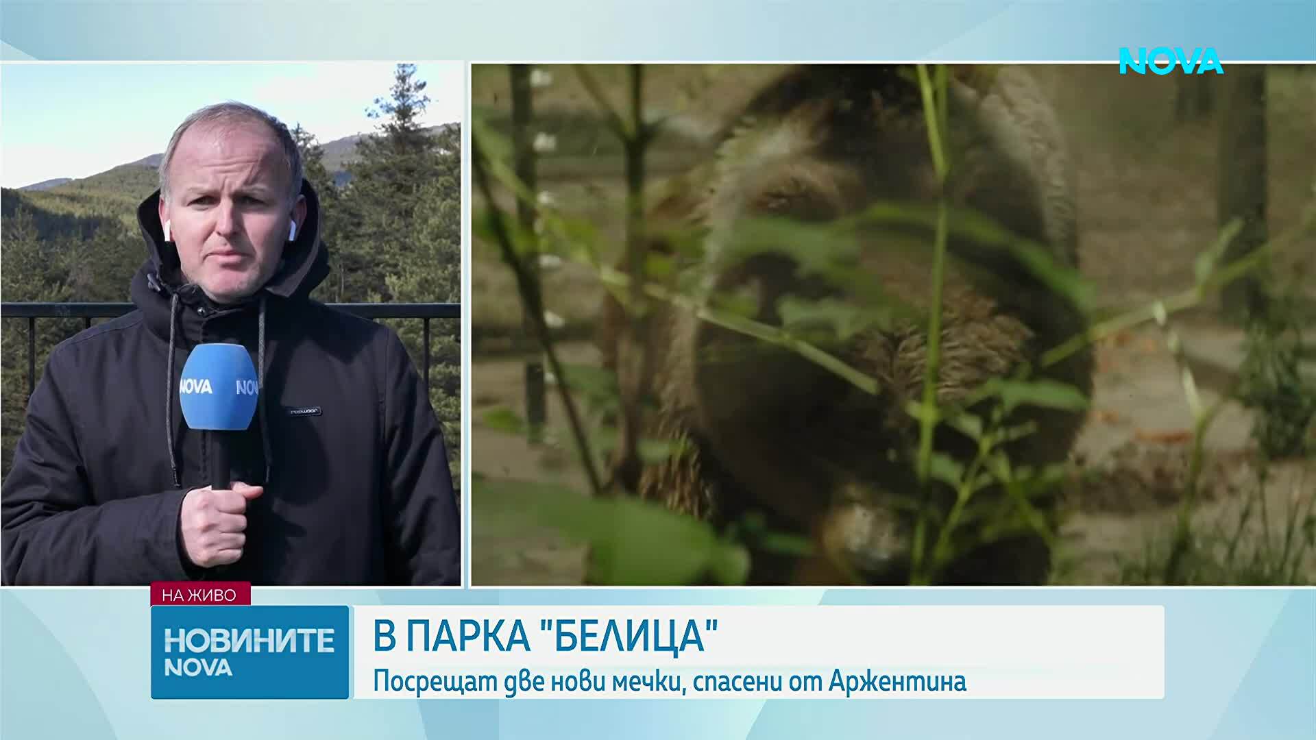 Спасяването на две мечки от Аржентина и пристигането им в "Белица"