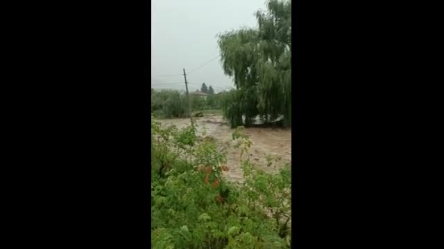 "Моята новина": Времето в Карловско