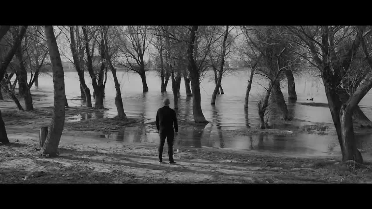 Premijera !!! Dado Polumenta 2016 - Srce kad stane, tada je kasno da se mijenjas - Prevod