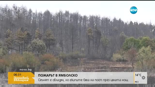 ПОАЖРЪТ В ЯМБОЛСКО: Огънят е овладян