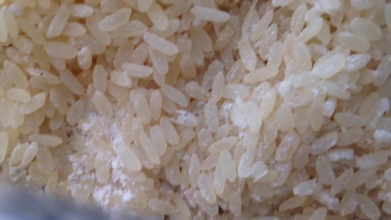 Пълзящи гадинки
