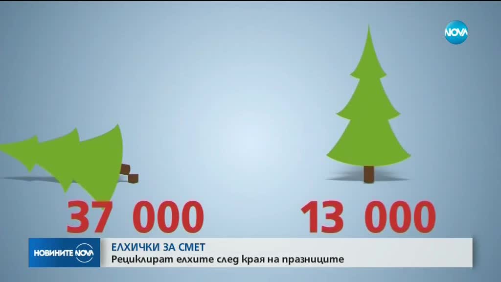 Рециклират коледните дръвчета след края на празниците