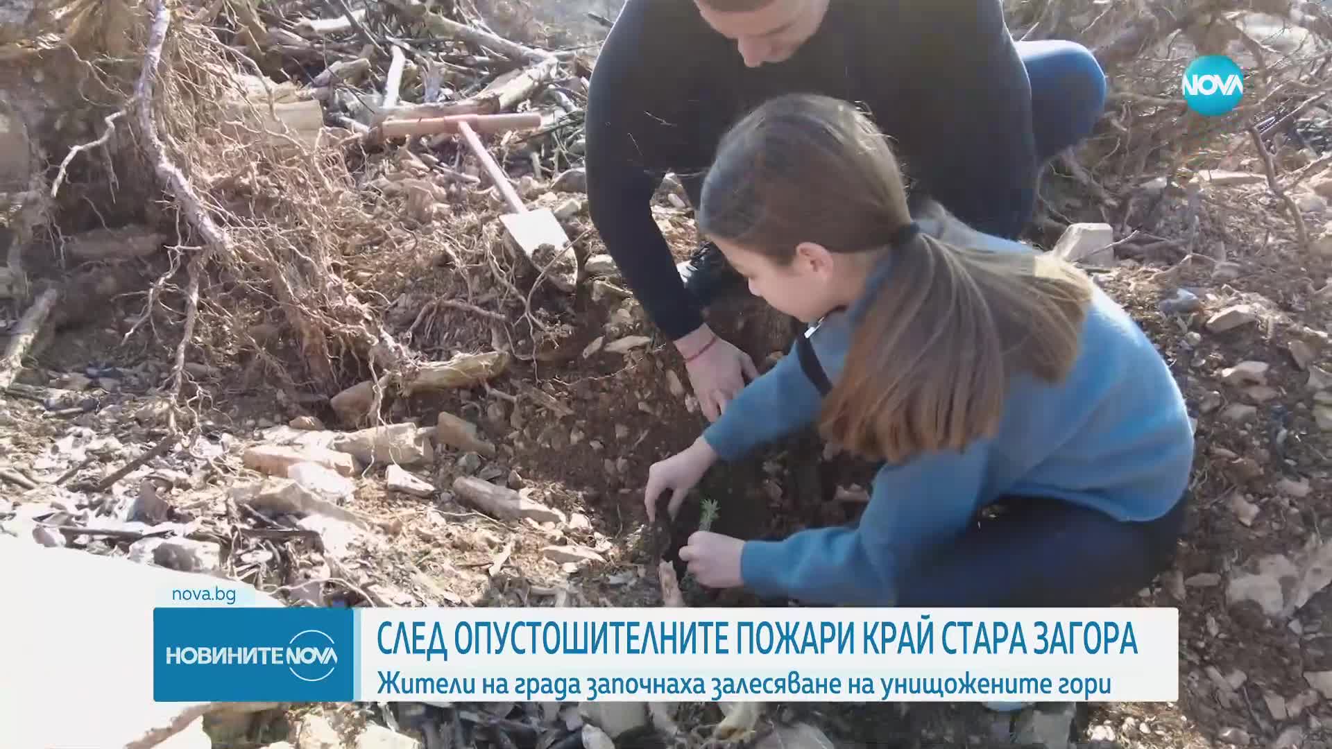 Залесителна кампания в Стара Загора след опустошителния горски пожар