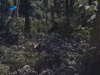 Краят  на  песента